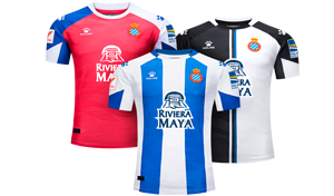 RCDE Store