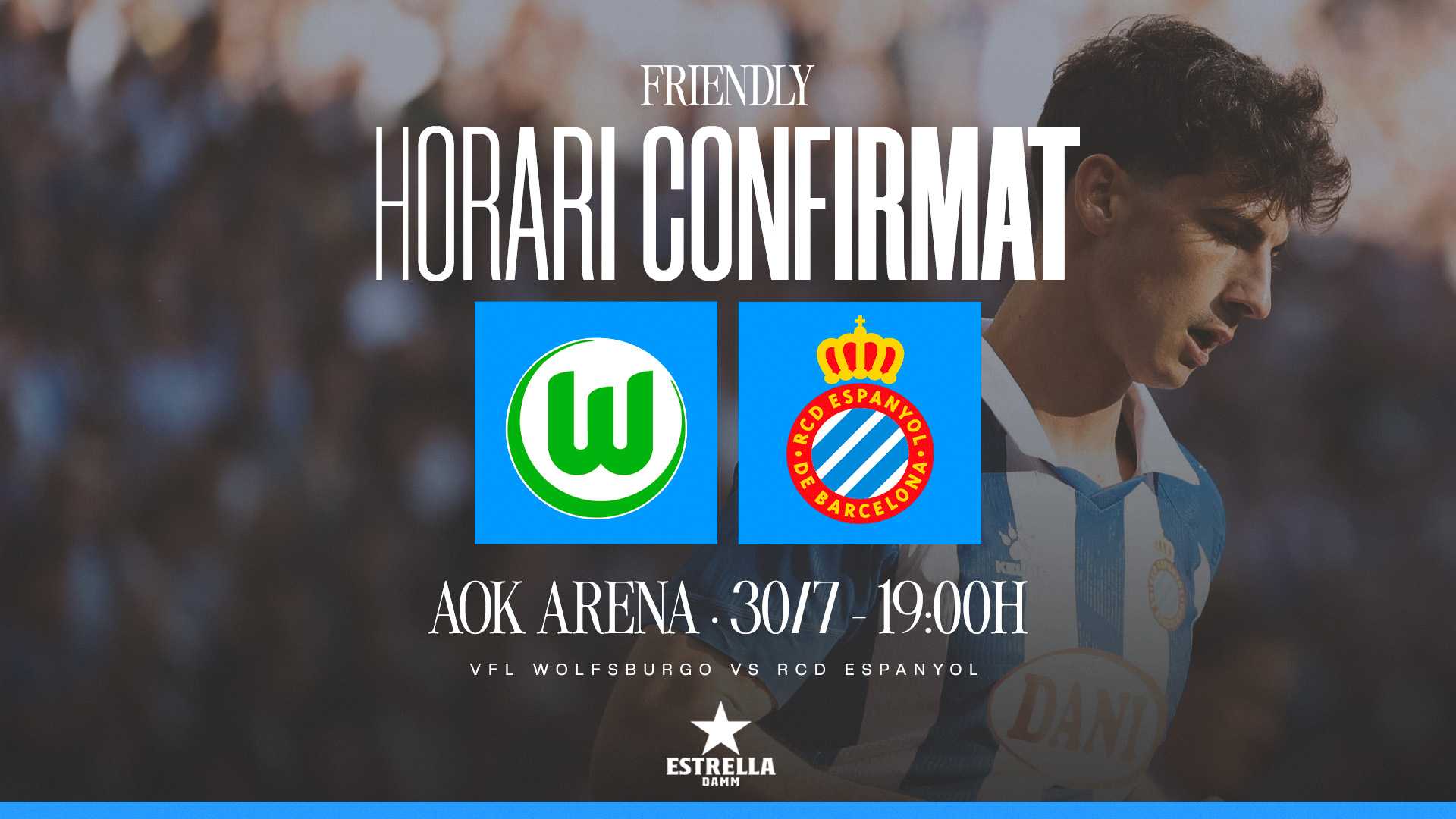 Summer friendly organised against VfL Wolfsburg